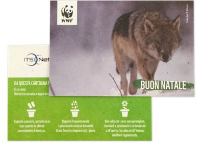 Biglietto d'auguri - WWF