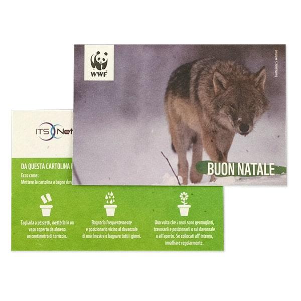 Biglietti Di Natale Ecologici Doodle – 36 Pezzi In Carta Riciclata Con Buste