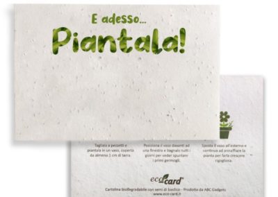 e adesso piantala - cartolina biodegradabile piantabile al basilico eco card