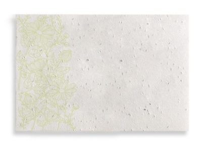 eco card - cartolina biodegradabile piantabile neutra camomilla 10x15 cm
