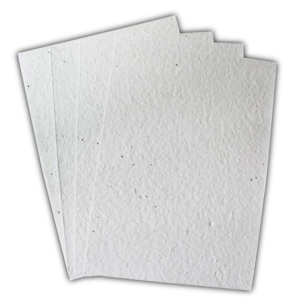 Carta fotocopie risma luce favini - 200 ff 6 colori 140g a4