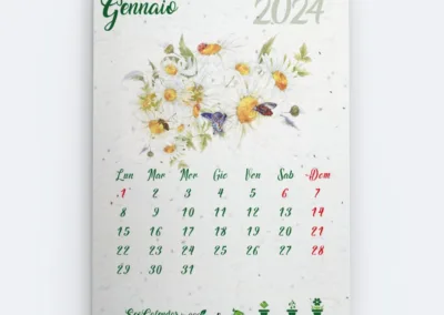 Eco calendar 2024 Camomilla (Gennaio)