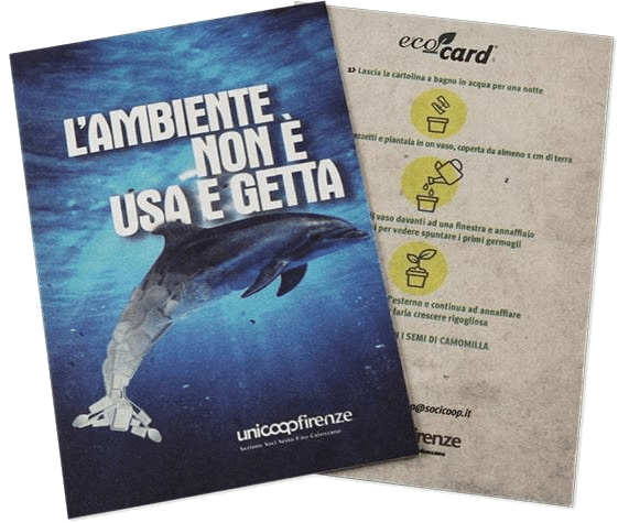 Flyer piantabili