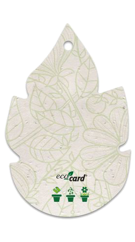 Bracciali Eco-Card