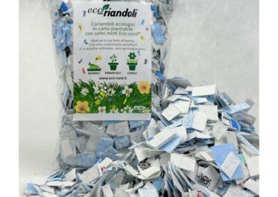 Coriandoli per evento ecosostenibile Ecoriandoli